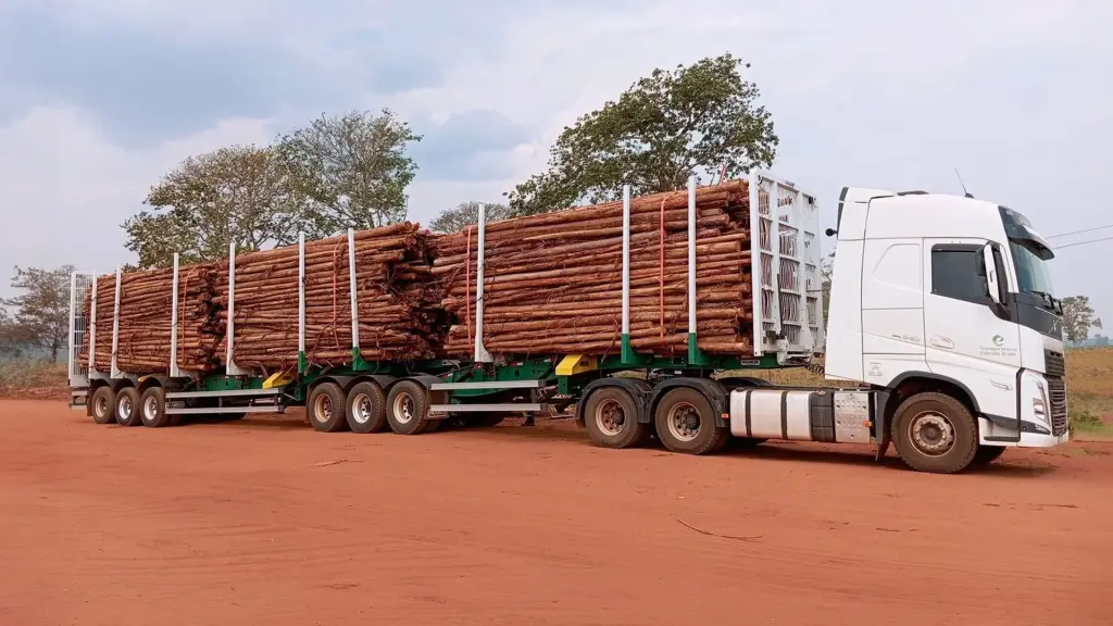 Carreta Bi-Trem Florestal